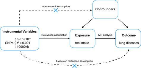 Design Of Mendelian Randomization Study Of Tea Intake And Lung