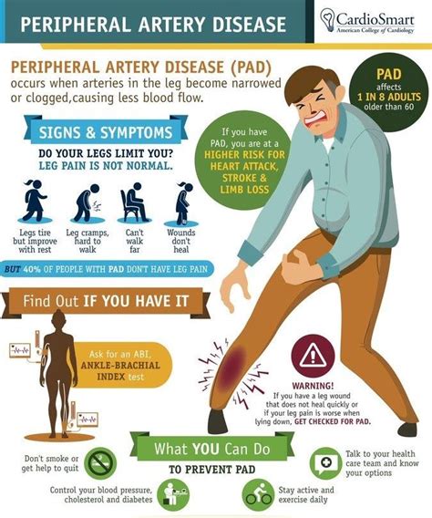 Peripheral Artery Disease Pathology Outlines - PELAJARAN