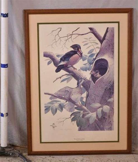 Signed Limited Edition Framed Print Wood Ducks At Nest By Anthony J