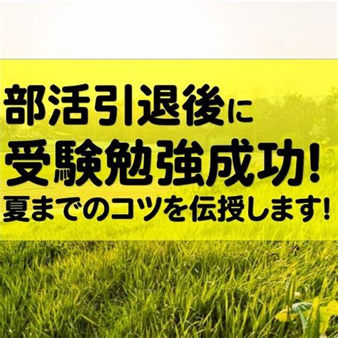 部活引退してから受験勉強に成功する方法！総体が終わったら読んで！