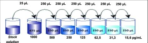 Gambar 1 Proses Pengenceran Stock Solution 12 Download Scientific