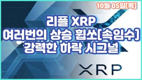 리플 Xrp 여러번의 상승 휩쏘 속임수 강력한 하락 시그널 Youtube