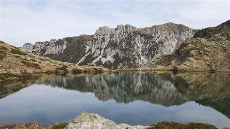 Il Parco Alpi Marittime Festeggia Anni Della Riserva Del Palanfr A