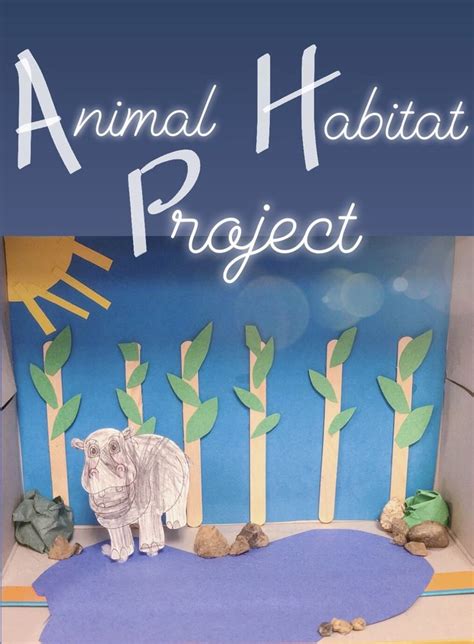 Animal project kindergarten | Habitats projects, Animal projects ...