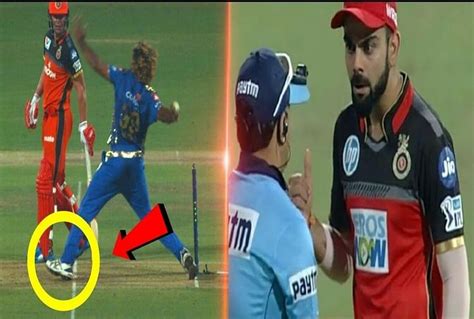 Ipl 2019 Virat Kohli Abused Match Referee After No Ball Controversy In