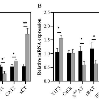 The relative expression of mRNAs encoding amino acid sensor and amino ... 