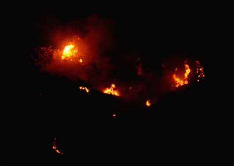 Fire at Ghazipur landfill, no casualty reported