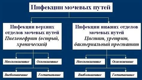 Антибиотики при мочеполовых инфекциях у мужчин и женщин: таблетки ...