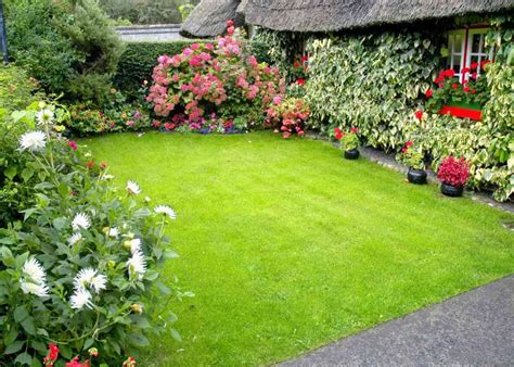 Gardener's Guide to Mixed Privacy Hedges: Creating Your Outdoor Oasis ...