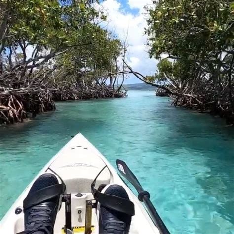 Turisteando En Puerto Rico On Instagram Kayakeando En El Para So