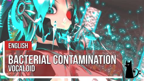 Bacterial Contamination English Cover By Lizz Robinett YouTube