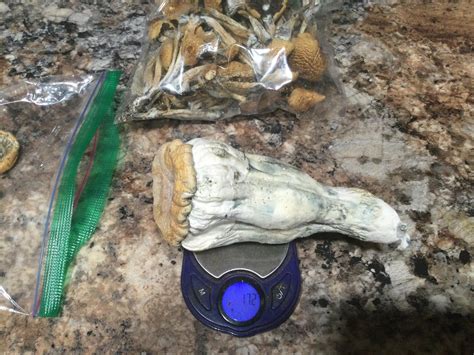 Micro dosing is just eating one shroom, right? : r/shrooms