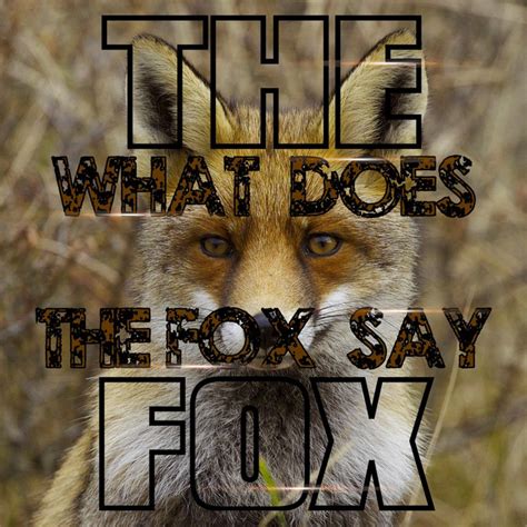 The Fox What Does The Fox Say Single By The Fox Spotify