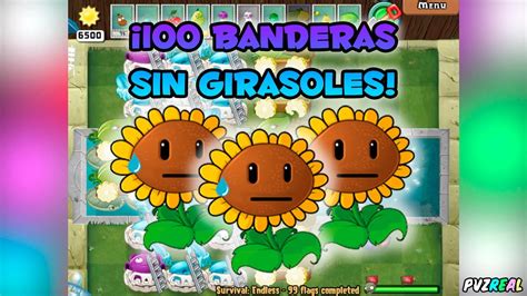 Banderas Sin Girasoles Timelapse Plantas Vs Zombies