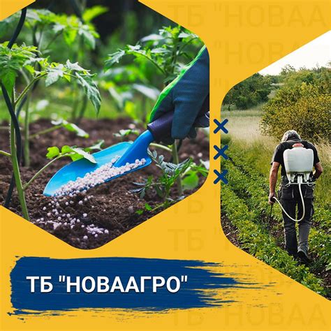 GC Novaagro - Home