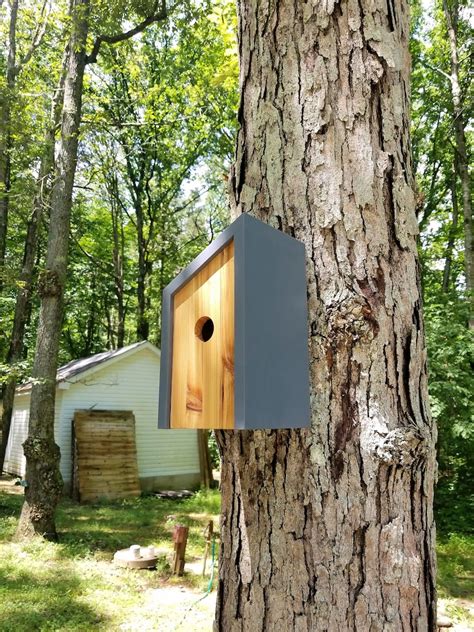 Birdhouse Modern Wooden Birdhouse Minimalist Gray With Etsy