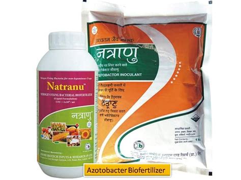 Powder Biofertilizer Azotobacter Packaging Type Box At Rs 168 Kg In