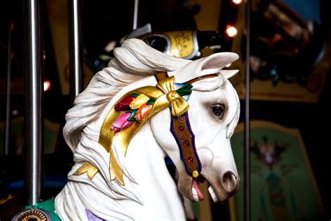 White Carousel Horse Head In Shadows Stock Image Image Of Park