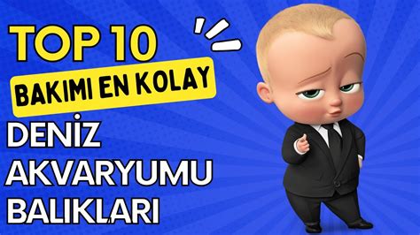 YENİ BAŞLAYANLAR İÇİN BAKIMI KOLAY 10 DENİZ AKVARYUMU BALIĞI YouTube