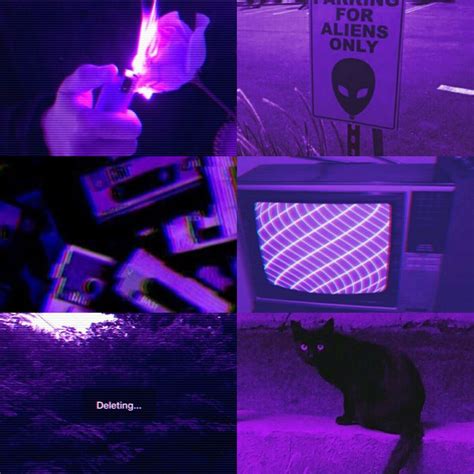 Purple Aesthetic Pfp