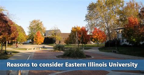 50 50 Profile Eastern Illinois University Do It Yourself College