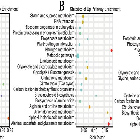 Gene Pathway Analysis Of Combined Transcriptome And Proteome Analyses