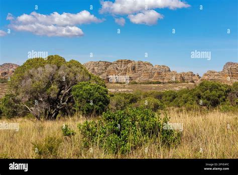 Isalo National Park In The Ihorombe Region Madagascar Stock Photo Alamy