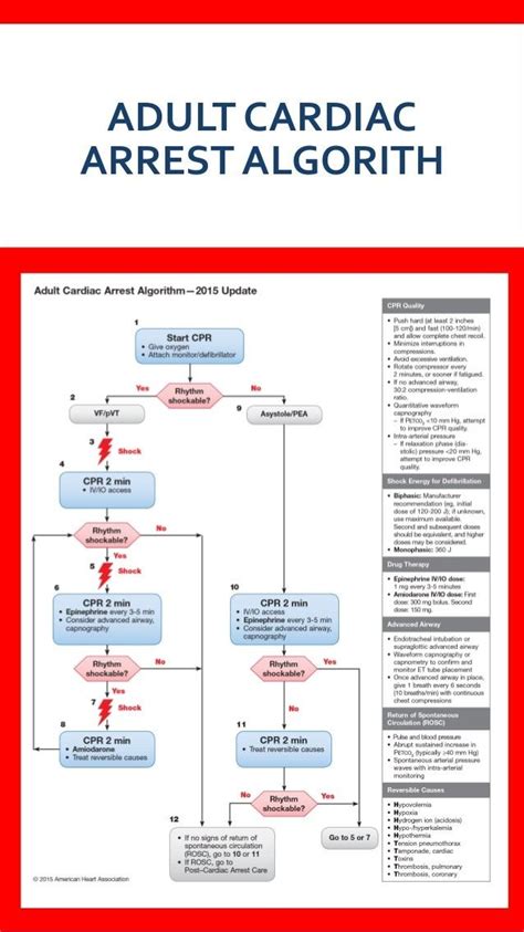 American Heart Association Bls For Healthcare Providers Quick Reference