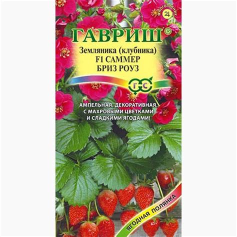 Земляника (клубника) Саммер Бриз Роуз F1 Гавриш (97418): купить семена ...