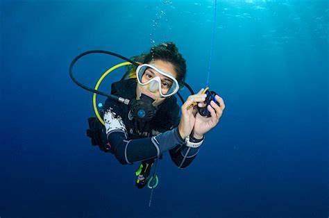 Padi Diving Instructor Internship Koh Tao Blackturtle Dive