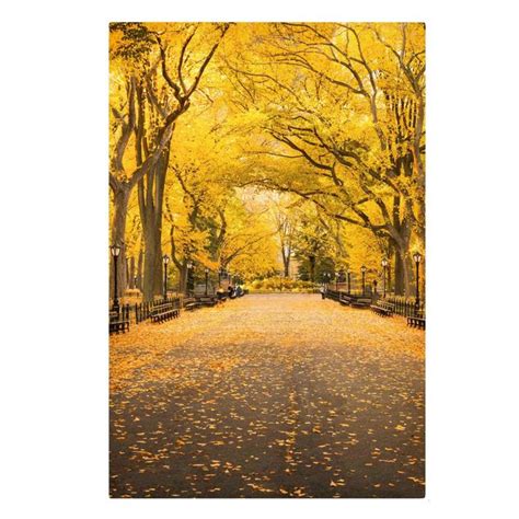 Herbst Im Central Park Leinwandbild Im Hochformat 2 3 Kaufen