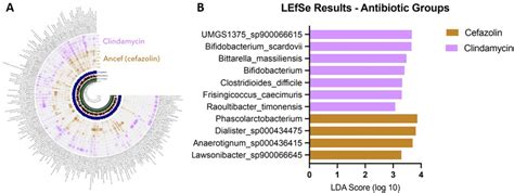 A An Anvio Plot Of Metagenomic Assembled Genomes Mags From Stool Of