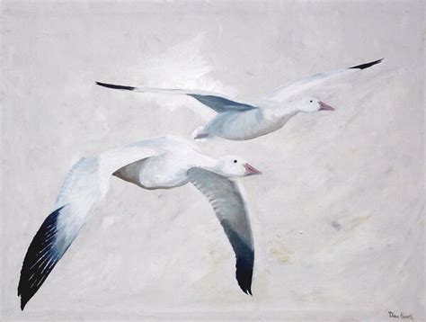 Snow Geese Oil On Canvas