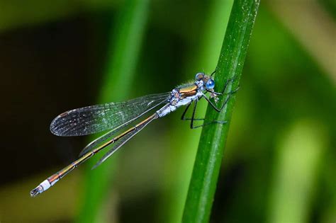 A beginners guide to nature photography - Go Wild Scotland