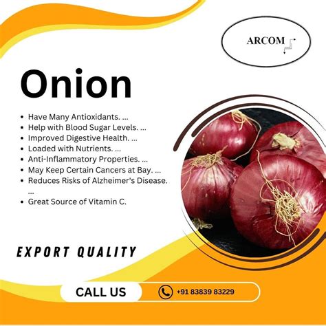 Maharashtra Red Onion A Grade Onion Size Mm At Rs Kg In New Delhi