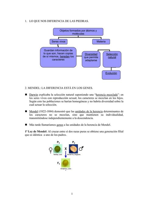 Unidad La Revolucion Genetica Pdf Descarga Gratuita