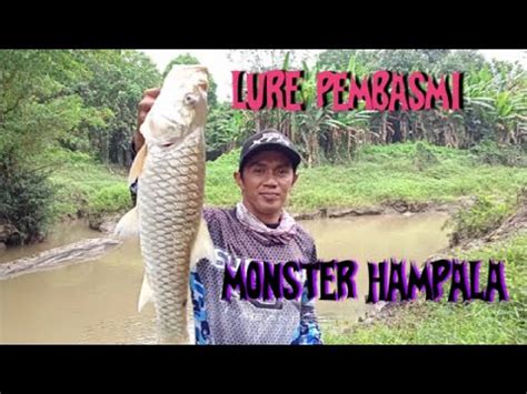 Casting Hampala Pakai Lure Di Spot Air Deras Kalimantan Youtube