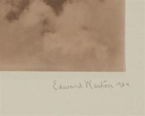 Lot Edward Weston 1886 1958 Palma Cuernavaca Mexico 1924