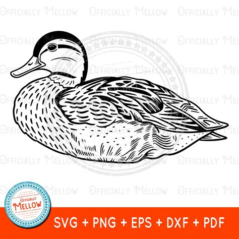 Mallard Duck SVG Duck SVG Mallard Duck Vector Duck Lover Gift Duck