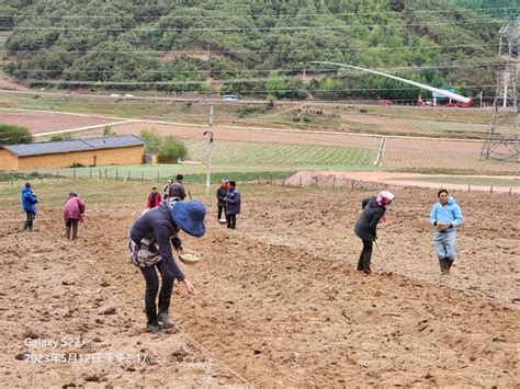 我院饲草饲料研究所专家一行在昭觉三岔河镇开展高寒冷凉山区适宜燕麦品种筛选春播工作 凉山农科网