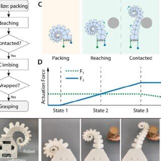 PDF Bioinspired Soft Spiral Robots For Versatile Grasping And