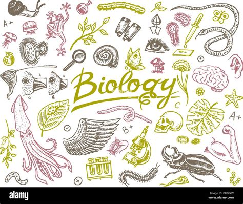 Scientific Laboratory In Biology Icon Set Of Biochemistry Research