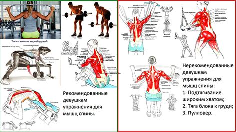 Лучшие силовые упражнения и планы тренировок для женщин кэмпбелл адам