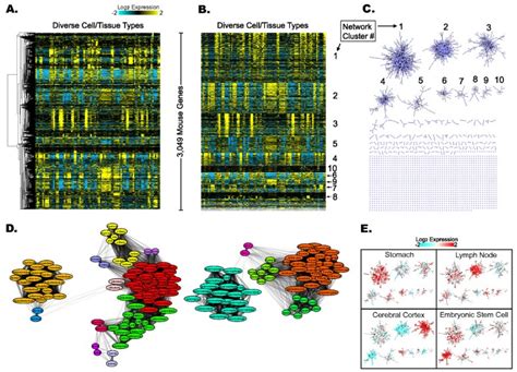 Clustermaker A Multi Algorithm Clustering Plugin For Cytoscape Bmc