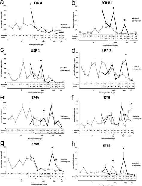 Comparison Of The Ecdysone Related Gene Expressions In Larval Midguts