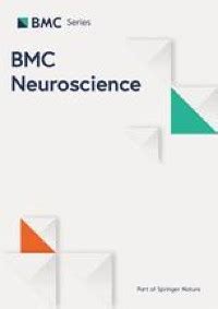 Multiscale Modeling Of Cortical Information Flow In Parkinson S Disease