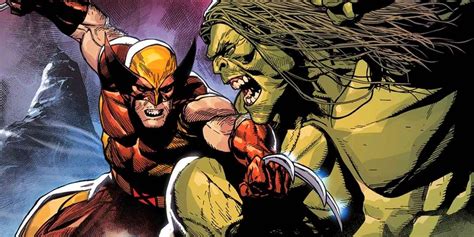 "There Can Be Only One": Wolverine vs Hulk Rematch Redefines Their ...