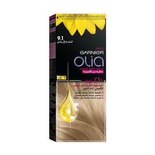 Garnier Ashy Light Blonde Kit Pcs Price In Saudi Arabia Tamimi Saudi Arabia Supermarket