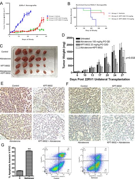 Sine Inhibits Tumor Growth And Prolongs Survival Of A 22rv1 Xenograft