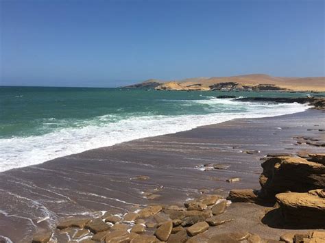 Playa Roja Paracas Aggiornato 2017 Tutto Quello Che Cè Da Sapere